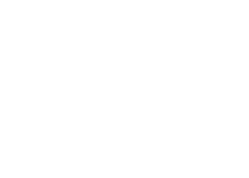 zodiac sign Aquarius