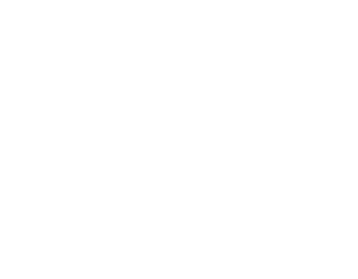 zodiac sign gemini