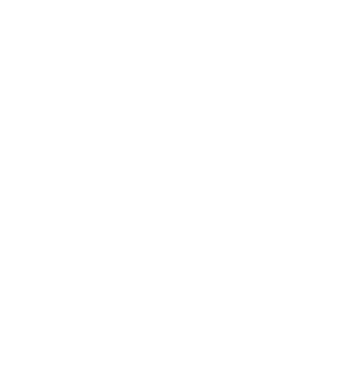 zodiac sign leo